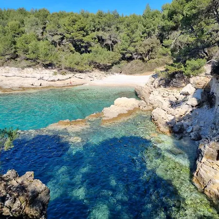 Alena - Prestige And New