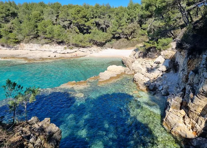 Alena - Prestige And New