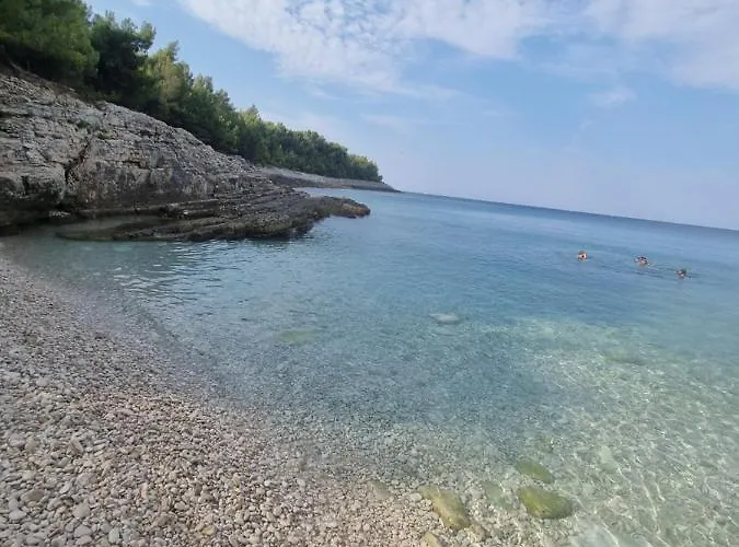 Alena - Prestige And New