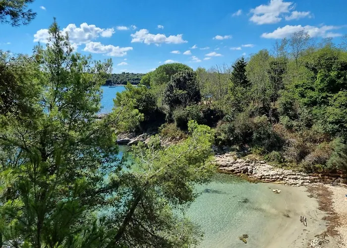 Apartman Alena - Prestige And New *