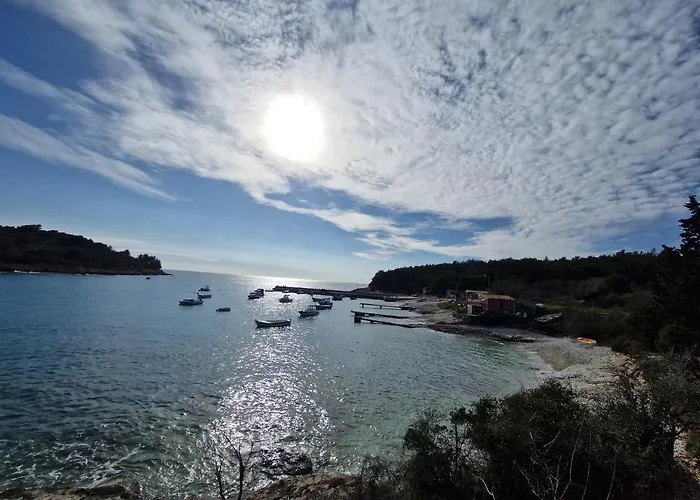 Alena - Prestige And New Apartman *