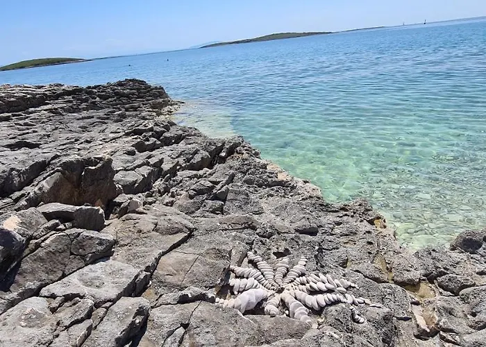 Apartman Alena - Prestige And New Premantura