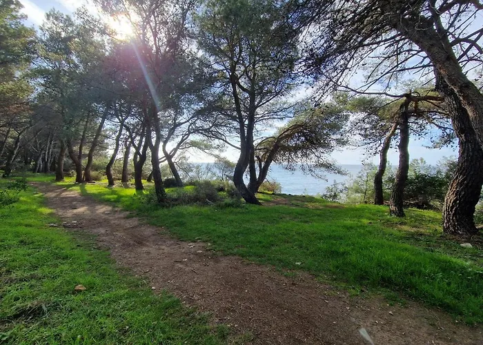 Alena - Prestige And New Apartman *