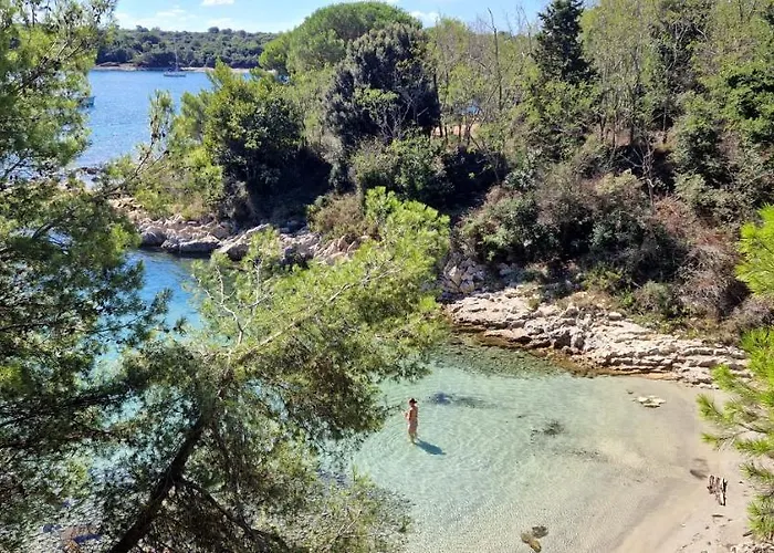 Alena - Prestige And New Apartman