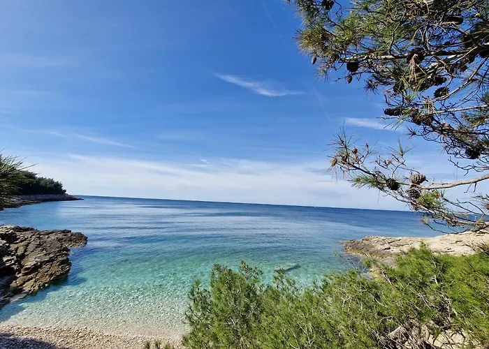 Apartman Alena - Prestige And New Premantura