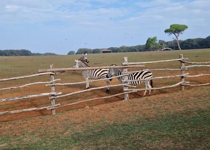 Apartman Alena - Prestige And New *