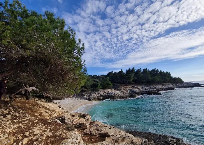 Apartman Alena - Prestige And New *